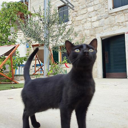 סרסר Apartmani Peljesac Sova מראה חיצוני תמונה