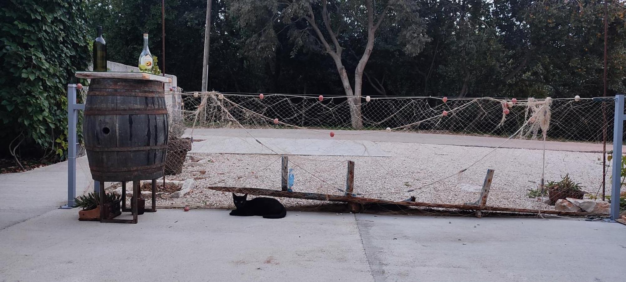 סרסר Apartmani Peljesac Sova מראה חיצוני תמונה