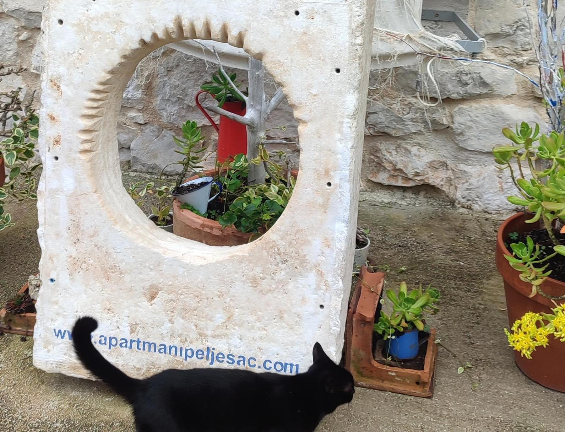 סרסר Apartmani Peljesac Sova מראה חיצוני תמונה